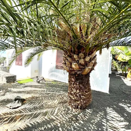 Vila Encantadora Villa Con Piscina Privada, Wifi, A/C, Bbq, Playa Blanca *